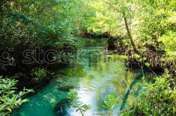 Similar – Image, Stock Photo Reflection in the lake