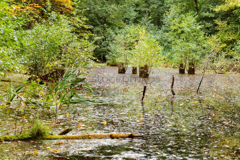 Similar – waterways Nature Landscape