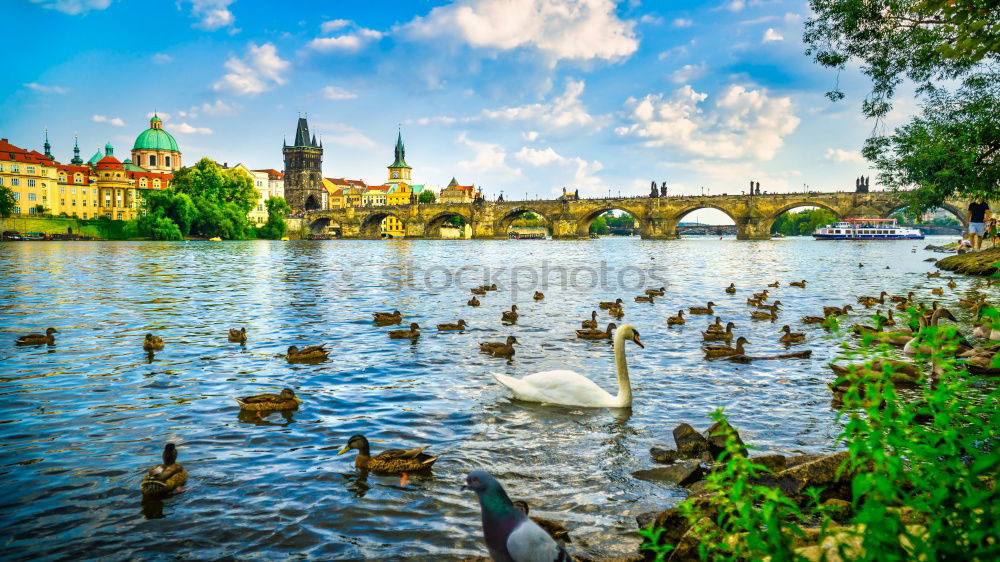 Similar – Prague city and Vltava river at sunset