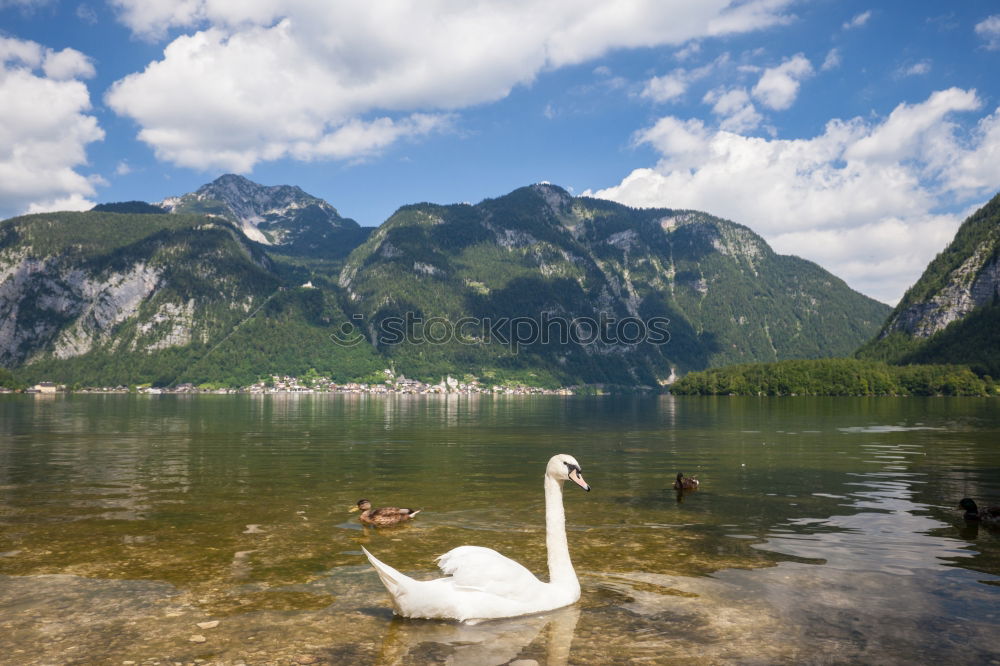 Similar – Image, Stock Photo St. Bartholomew Relaxation