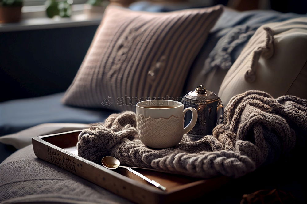 Similar – Gemütliches Sofa mit Decke und Buch zuhause vor Tür mit weißen Sprossen im Wohnzimmer