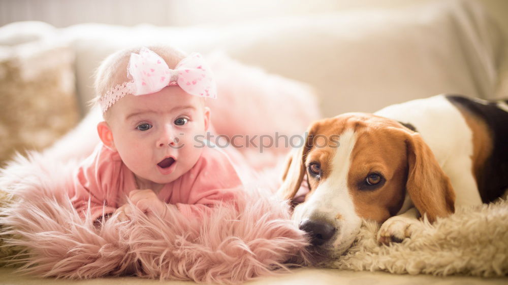 Similar – Image, Stock Photo friends Feminine Child