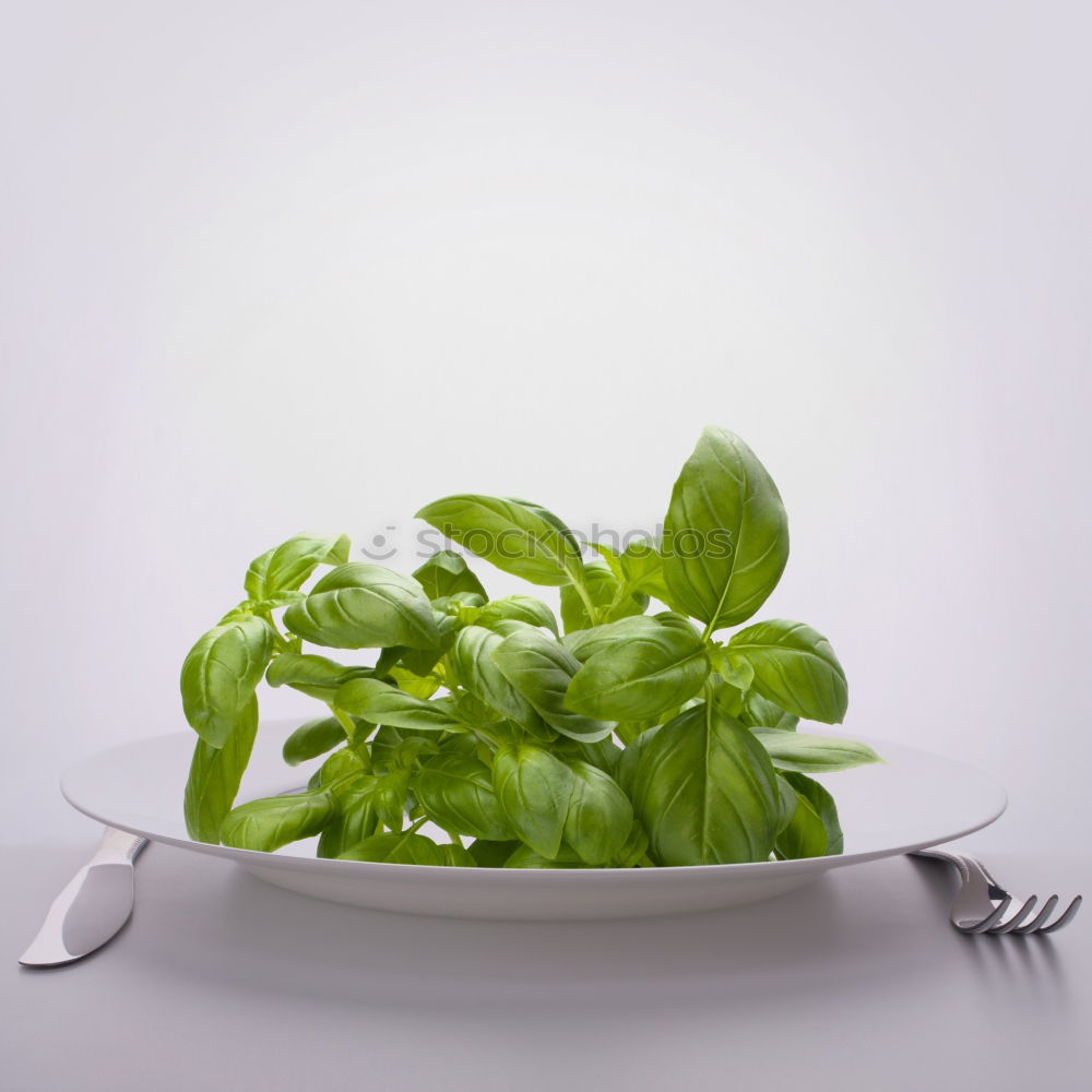 Similar – Image, Stock Photo salad Green salad