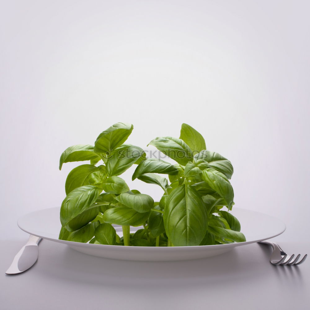 Similar – Image, Stock Photo salad Green salad