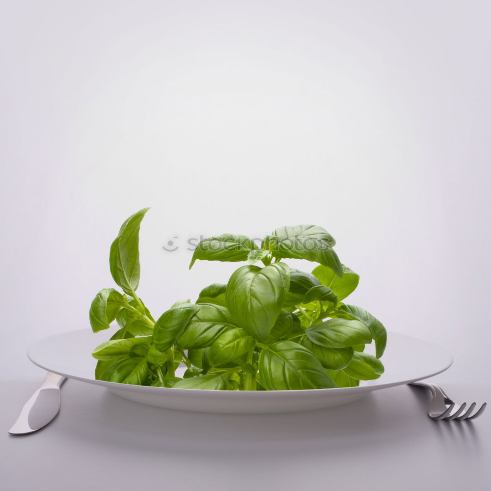 Similar – Image, Stock Photo crisp post Vegetable