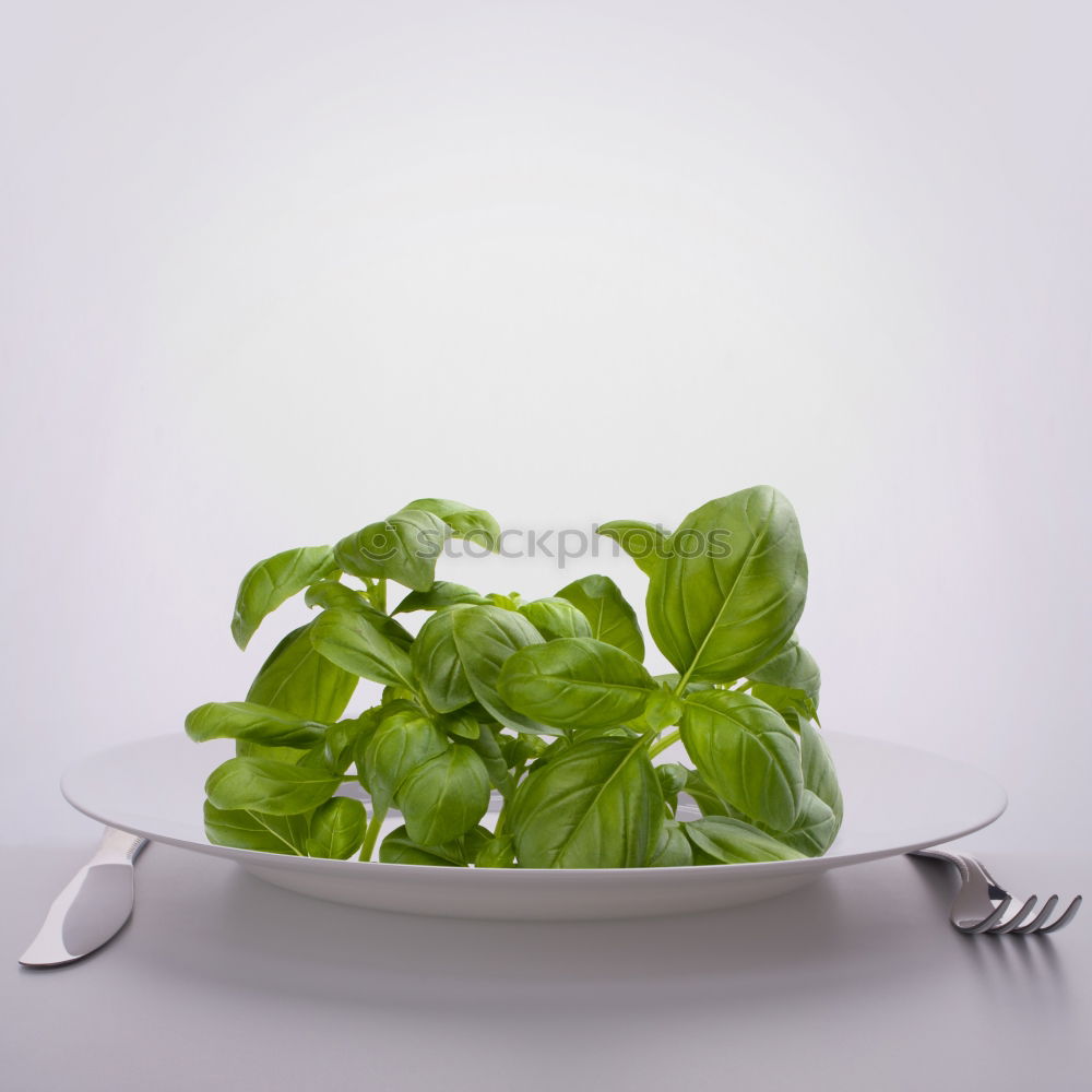 Similar – Image, Stock Photo salad Green salad