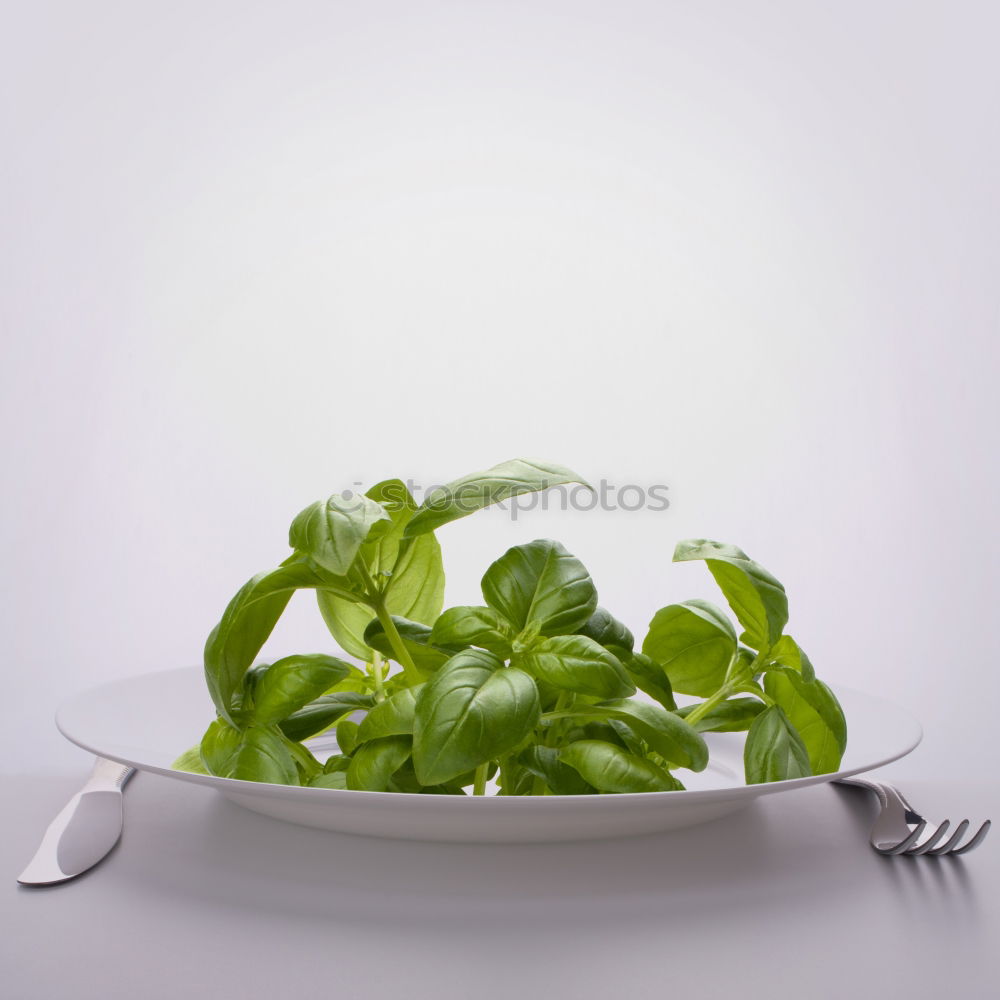 Similar – Image, Stock Photo Spinach, oil and grater with nutmeg