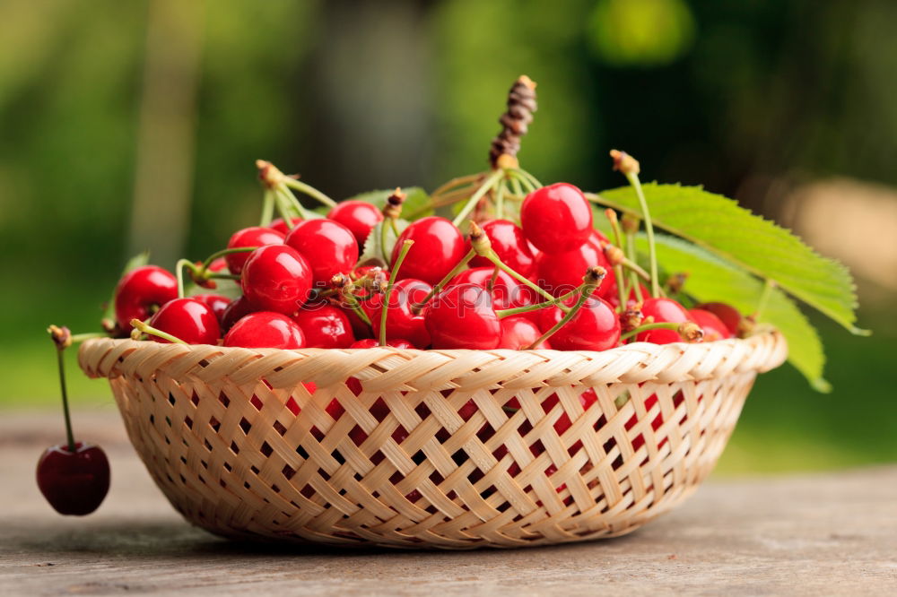 Similar – Image, Stock Photo A bowl of currants Food