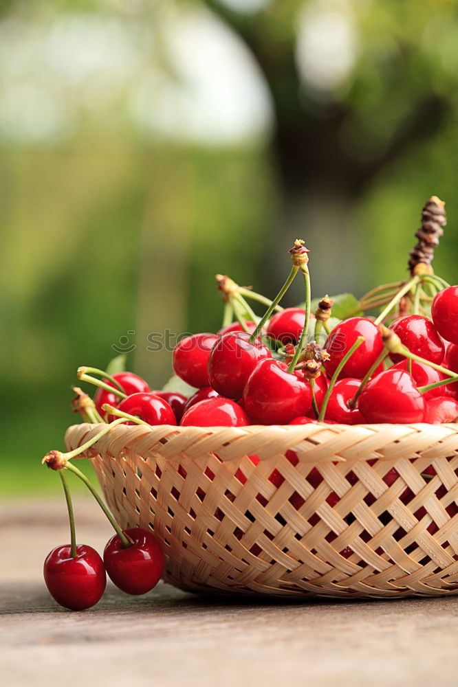 Image, Stock Photo A bowl of currants Food