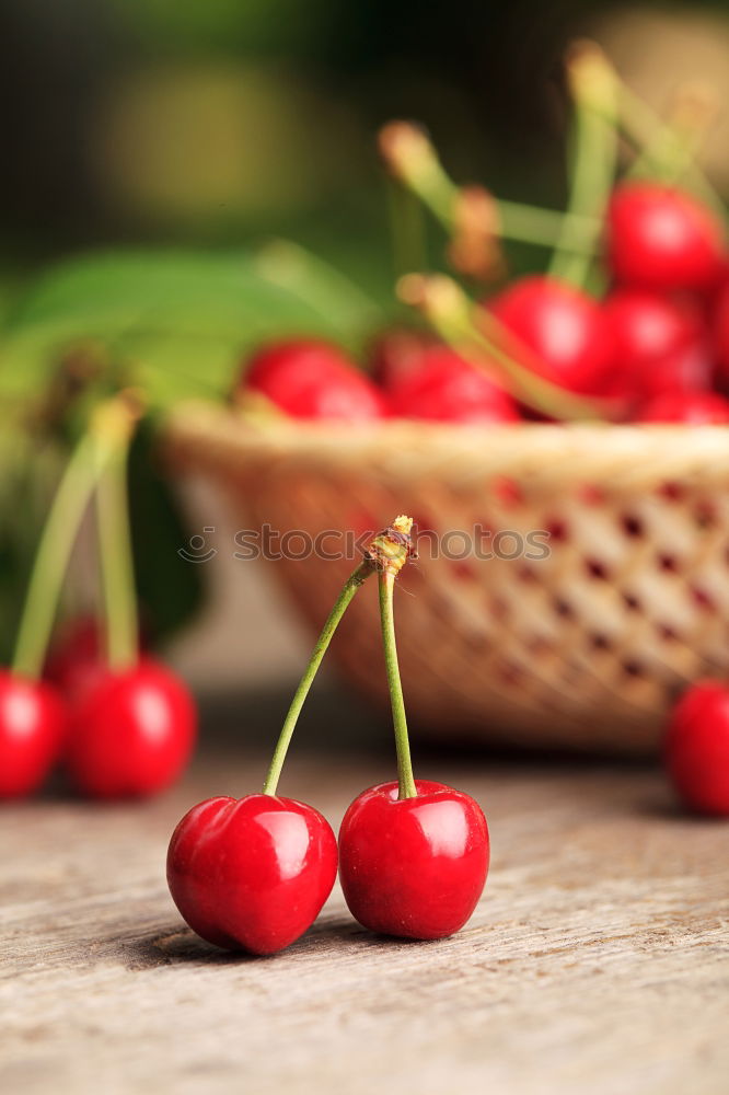 Similar – Image, Stock Photo Ripe red cherry in a paper bag