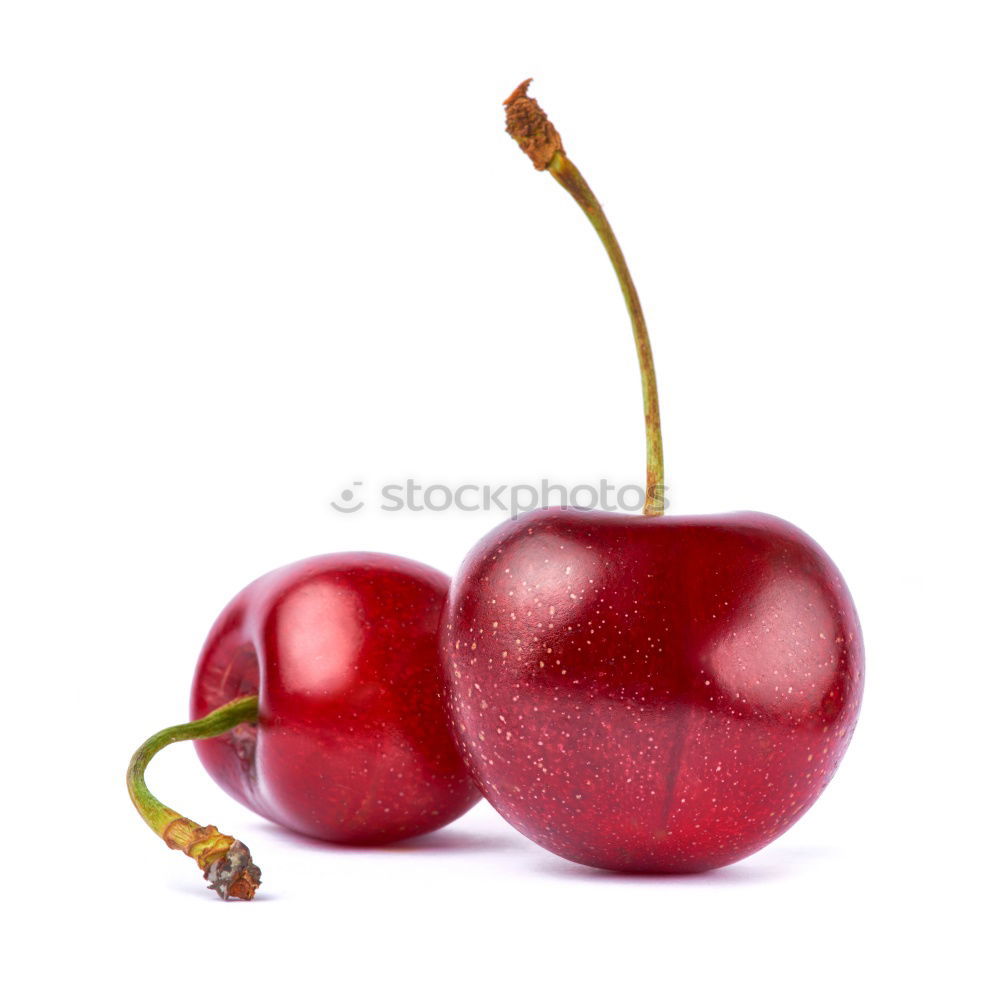 Similar – Image, Stock Photo erotic emotional togetherness