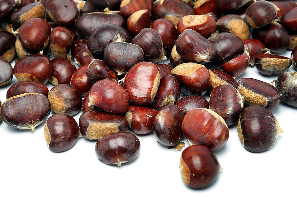 Similar – Mixed nuts in shells. Nut