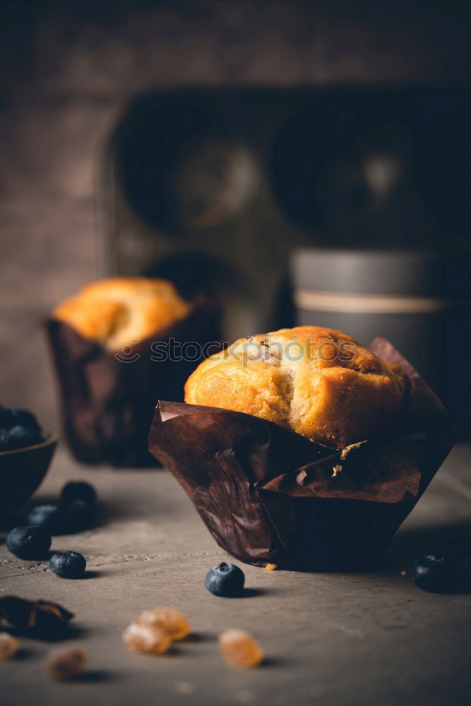 Similar – Image, Stock Photo apricot cake Cake Dessert