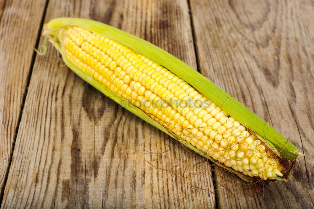 Similar – Cobs of Sweet Corn