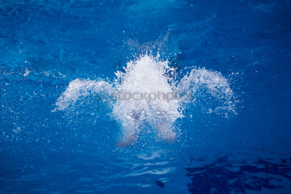 Similar – Image, Stock Photo upside down Wet Woman