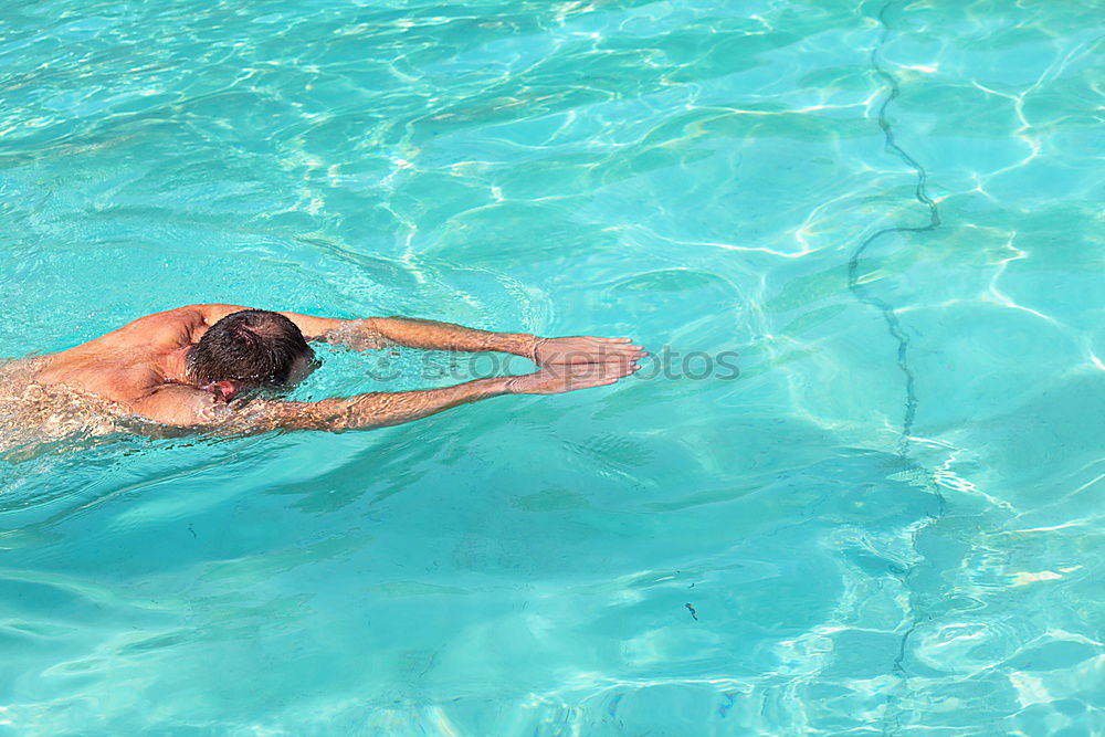 Similar – Image, Stock Photo Swimming through Buzzer