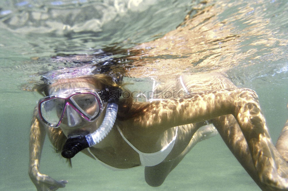 Similar – Image, Stock Photo Blubb Blubb² Dive