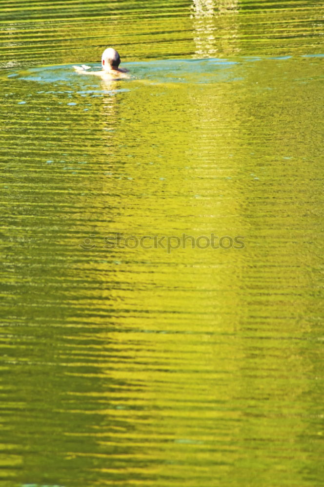 Similar – Breast swimming young woman with a red bikini in a swimming pond