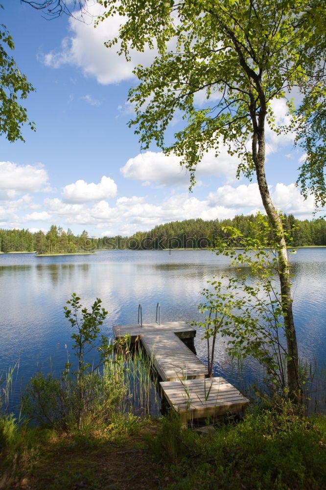 Similar – Image, Stock Photo Tree stands by the lake in autumn