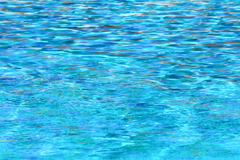 Similar – Foto Bild blau in blau Wassersport