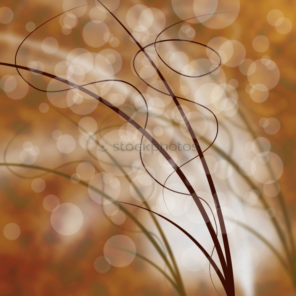 Similar – String of lights on a wooden fence