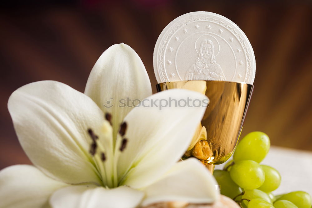 Similar – Image, Stock Photo bouquet of white flowering lilies of the valley