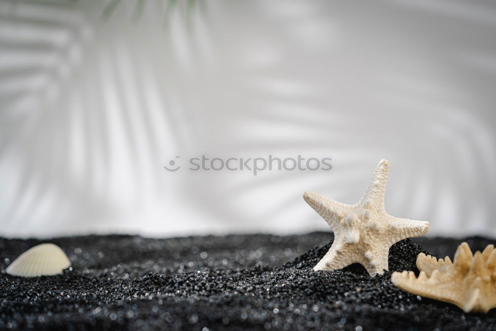 Similar – Image, Stock Photo Baltic Sea mix Sand Beach