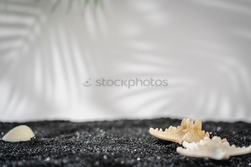 Similar – Image, Stock Photo Close up of cookie cutters in a dough on a dark table