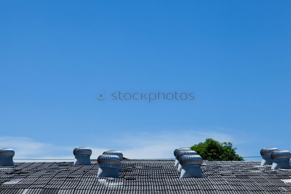 Similar – Image, Stock Photo leaf canopy