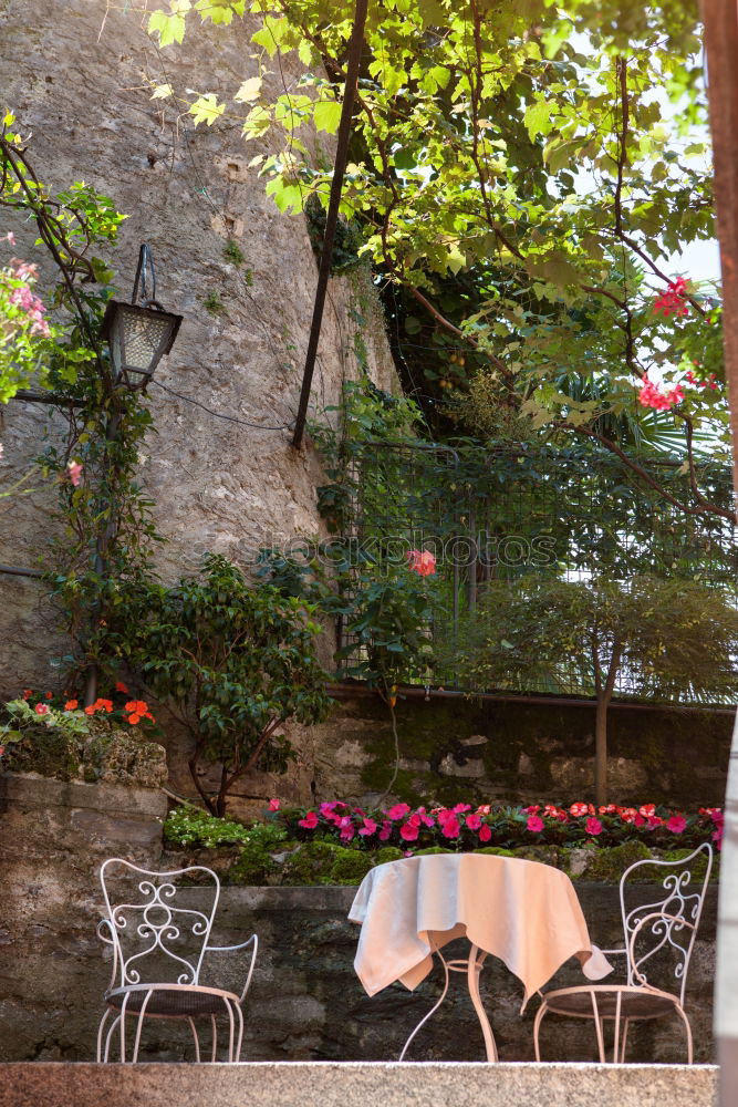 Similar – Image, Stock Photo shaving seat Spa gardens