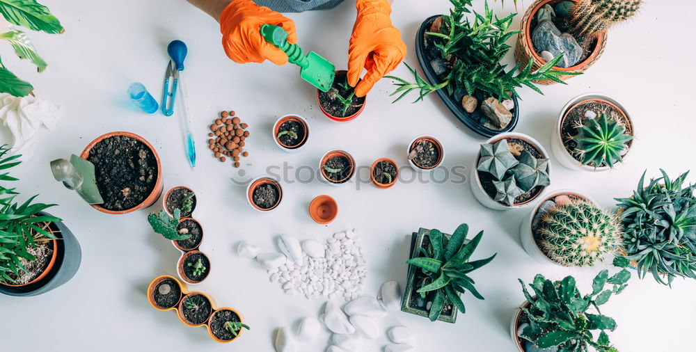 Similar – Image, Stock Photo Hands writing on open envelope with flowers