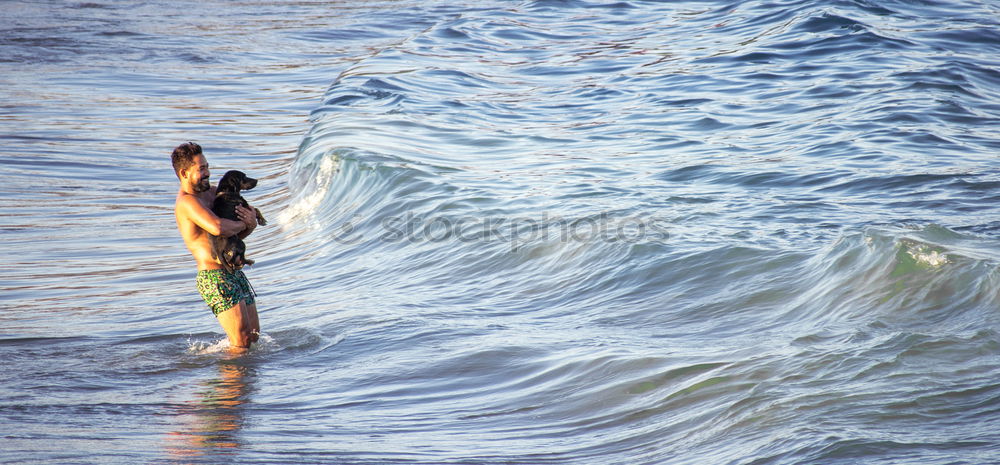 Similar – Image, Stock Photo surfers paddling out