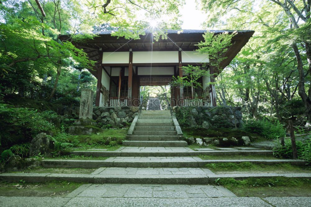 Similar – Image, Stock Photo Red pagoda in forest