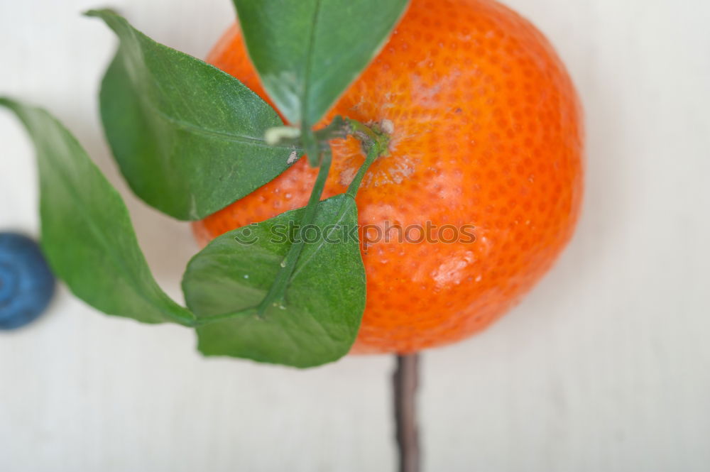 Similar – Image, Stock Photo SOUR MAKES FUN Fruit