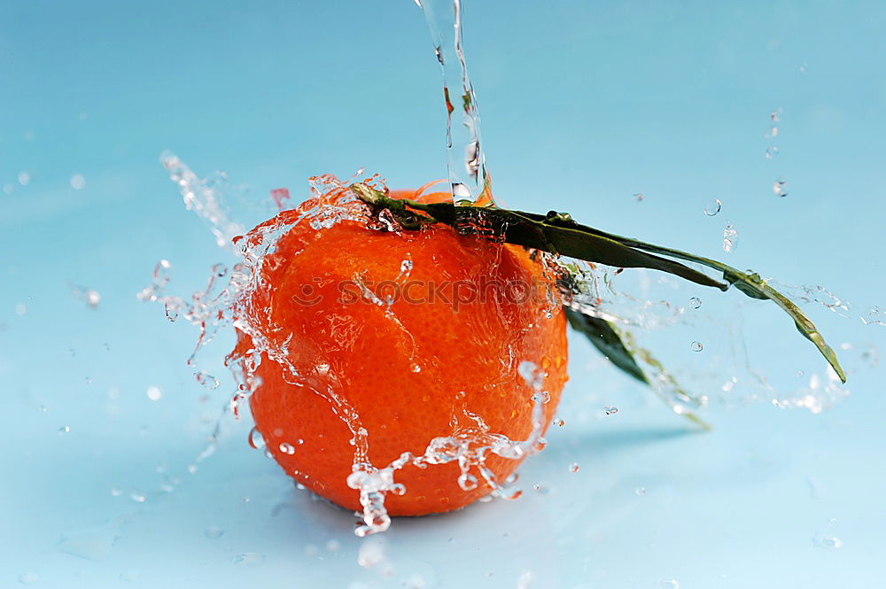 Similar – Image, Stock Photo Shock Frozen Food