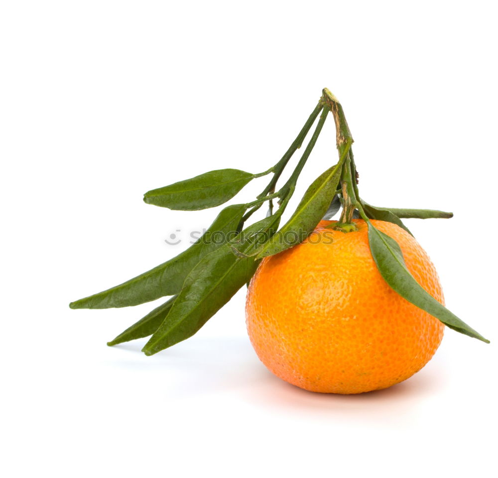 Similar – Orange fruit with green leaves on white wood