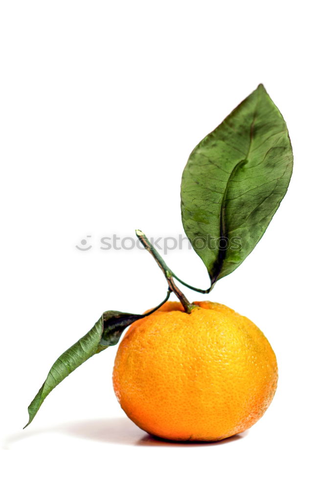 Similar – Orange fruit with green leaves on white wood