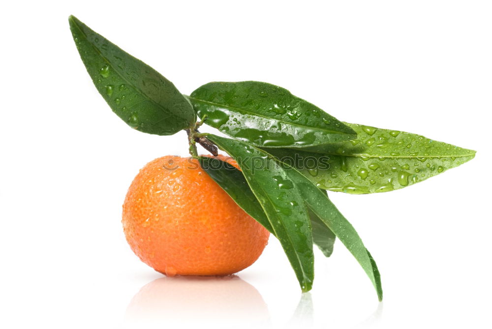 Orange fruit with green leaves on white wood