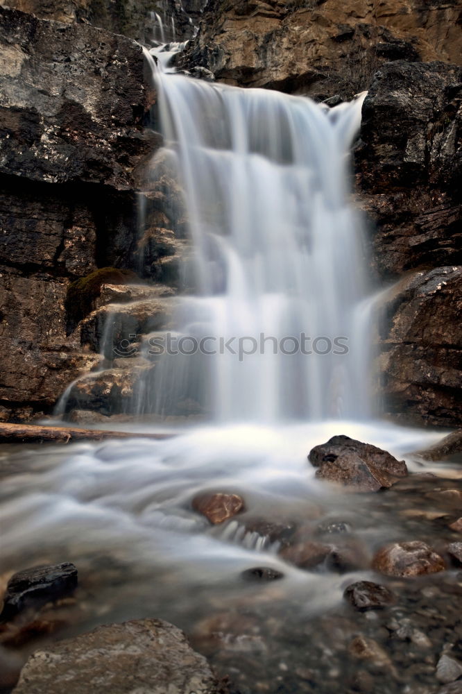 Similar – Image, Stock Photo chilling Nature Water