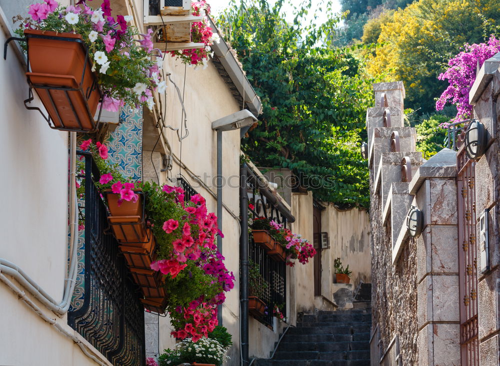 Similar – Image, Stock Photo Detail view of Taormina, Sicily, Italy