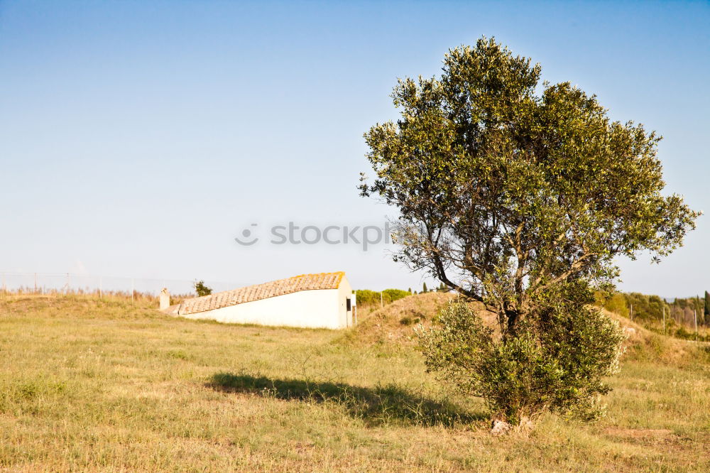 Similar – Image, Stock Photo Holiday home