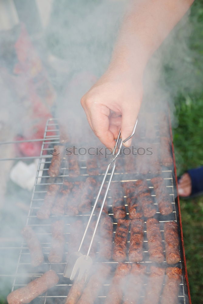 Similar – Image, Stock Photo torches Food Meat