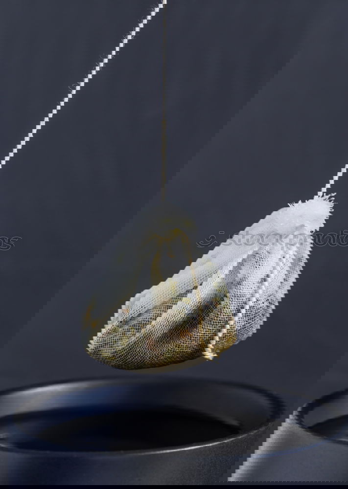 Image, Stock Photo Dried fish in a bag with paper on a black surface