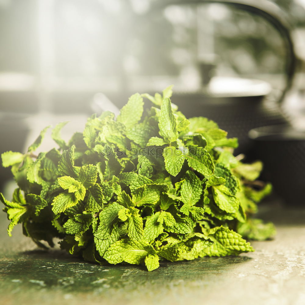 Similar – Image, Stock Photo Fresh lettuce on a rustic kitchen table