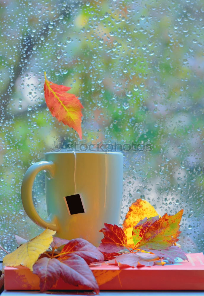 Similar – Image, Stock Photo cozy autumn morning at home. Hot tea and candle