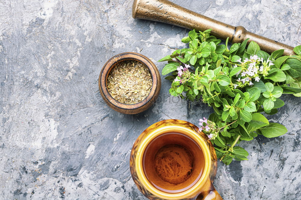 Similar – Image, Stock Photo Melissa leaf or lemon balm