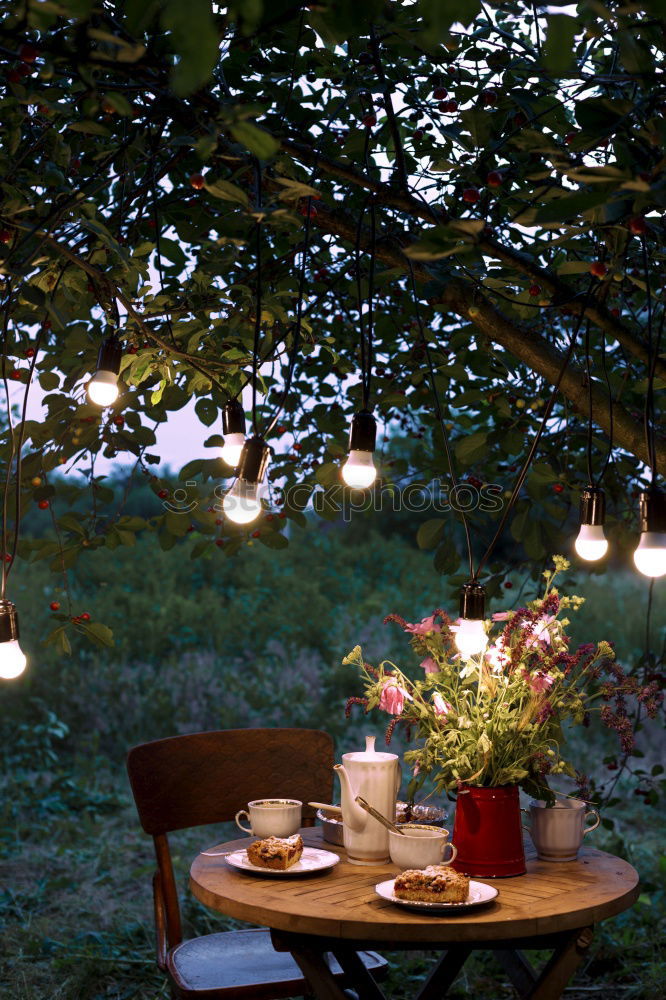 Similar – Image, Stock Photo Candle lantern and table