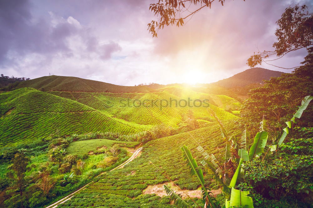 Similar – Image, Stock Photo how about…