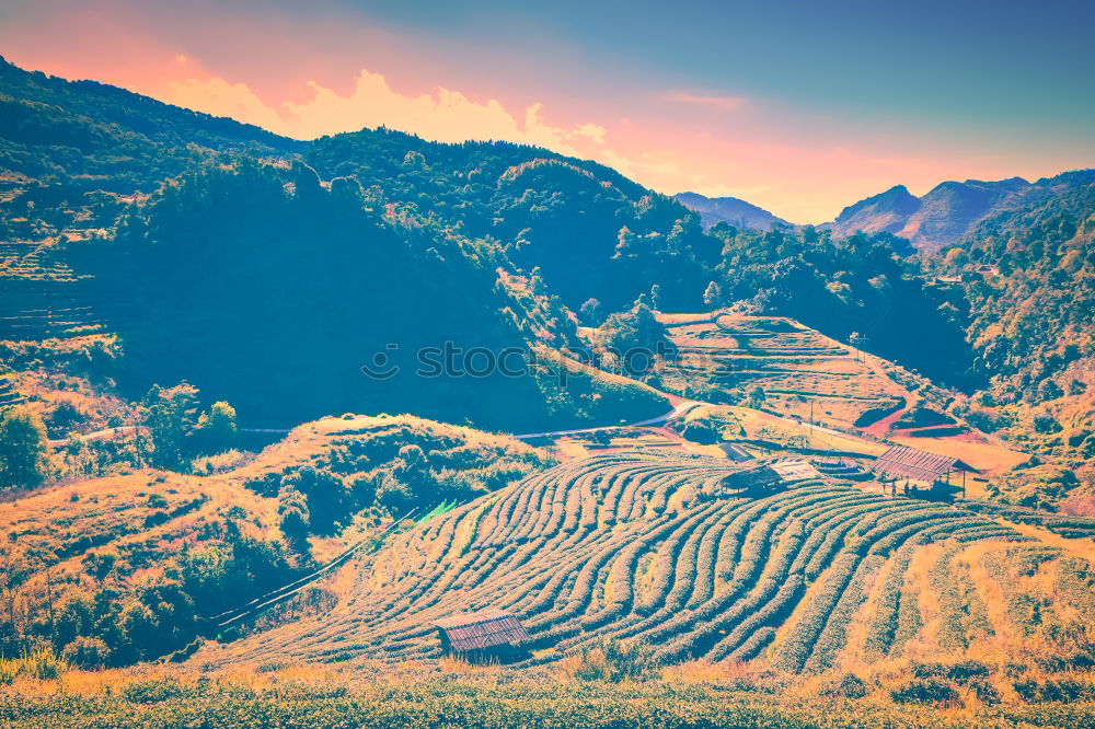 Similar – Muddy ground after rain in mountains. Extreme path