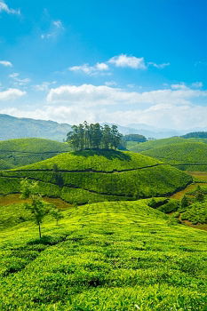 Similar – Image, Stock Photo tea break Malaya